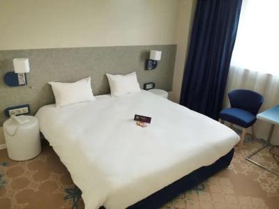 ibis Styles Tours Centre - 80