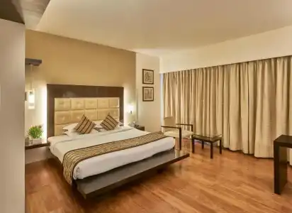 Krishna Palace - 55