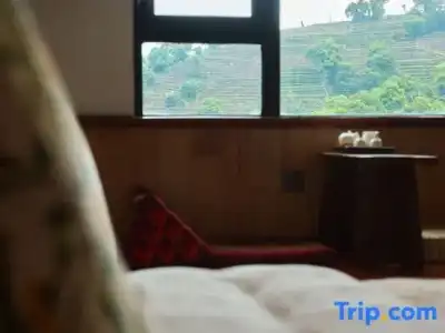 Yuequ yunshang Guesthouse - 55