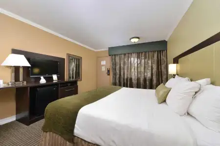 Royal Sun & Suites - 75