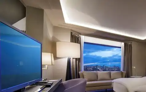 Ankara HiltonSA - 58