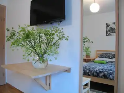 Guesthouse Bor - 15