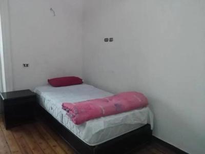 Safary Hostel - 4