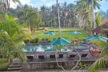 Bhanuswari Resort & Spa - 17