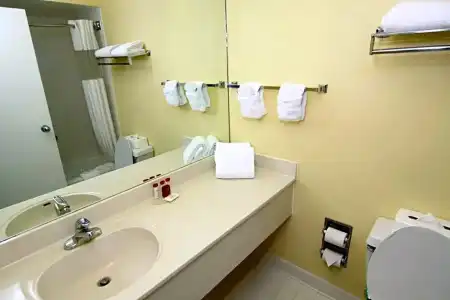 Ramada by Wyndham Kissimmee Gateway - 84
