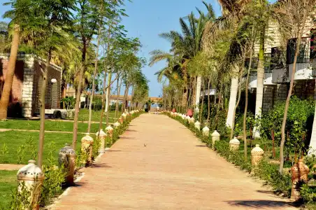 Aladdin Beach Resort - 23