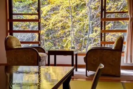 Shirahone Onsen Tsuruya Ryokan - 71