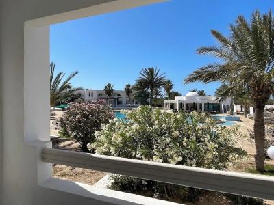 Bougainvillier Djerba - 41