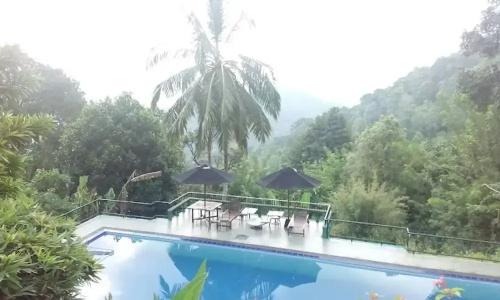 Brookside Nature - 16
