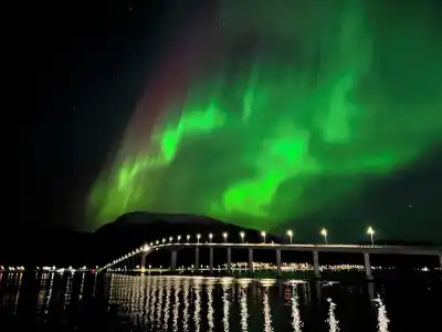 Marina Sortland - 19