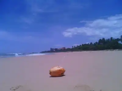 Ocean View - 11