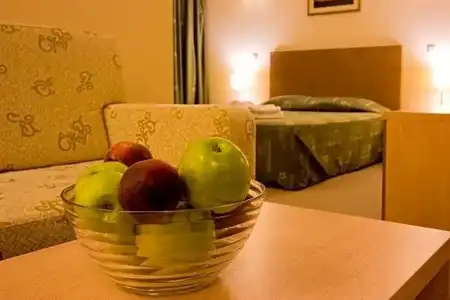 Vitosha Park - Free Indoor Pool & Parking - 97