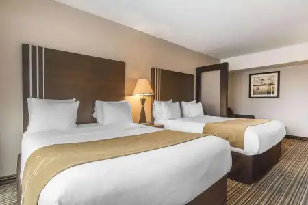 Comfort Suites Downtown - 5