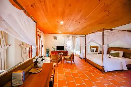 Thanh Kieu Beach Resort - 106