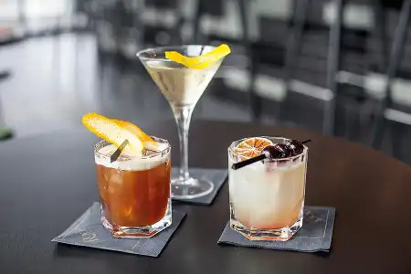 Radisson Blu, Mannheim - 8