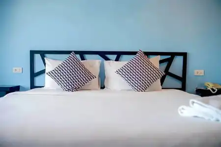 Sleep Whale (SHA Extra Plus) - 52