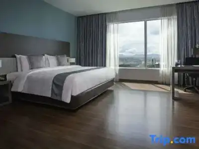 Pullman Kuching - 101