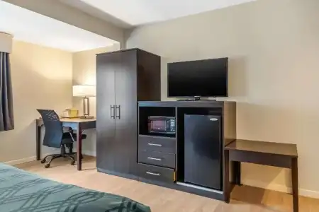 Quality Inn & Suites Lincoln I-93 - 40