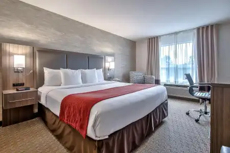Comfort Inn And Suites South - 2