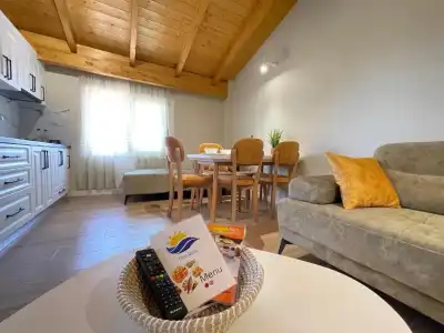 Arial Penthouse Suites - 268