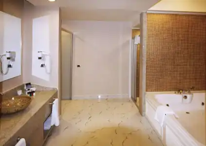 Royal Alhambra Palace – All Inclusive - 44