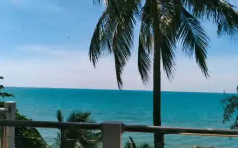 SandBeach Resort - 24