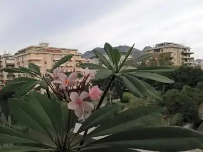 B&B 120 Rodionoff - connection to Airport and Mondello Beach - 70