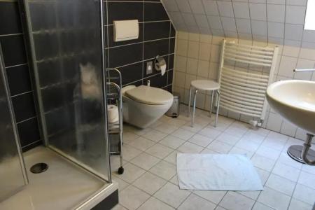Gasthof Zur guten Quelle - 6