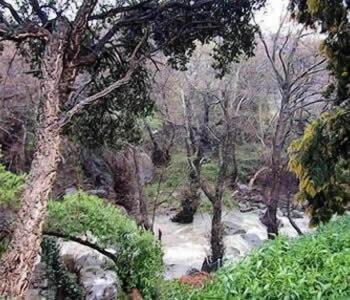 Mesón de Sancho - 22