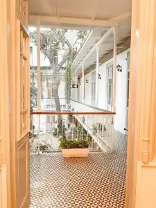 Mosquito Boutique Zona Colonial - 19