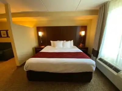 Comfort Suites Fredericksburg North - 76