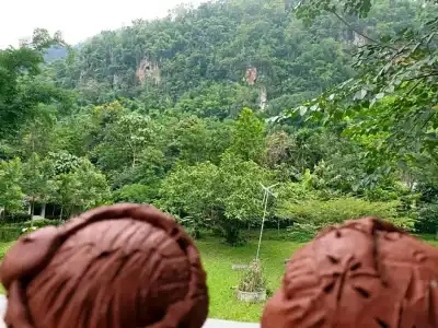Saranghae Resort Chiang Dao - 88