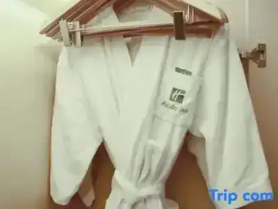 Holiday Inn Suzhou Huirong Plaza by IHG - 131