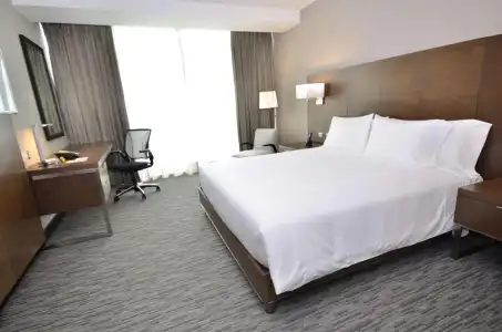 Hilton Garden Inn Iquique - 56