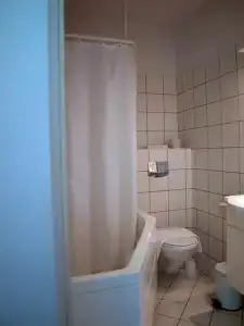 Viking - 61
