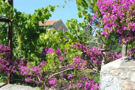 Eski Datca Pansiyon Cafe - 37