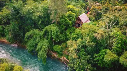 Our Jungle Camp - Eco Resort - 53