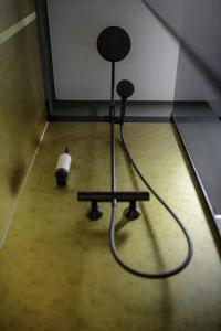 StadtKönig Albert - 24