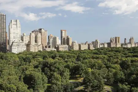 The Ritz-Carlton New York, Central Park - 15
