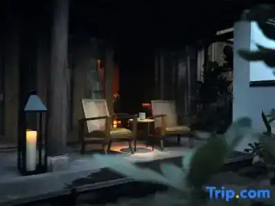 Oasis The Secret Luxury - 54