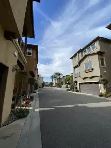 Olive Glen - 2