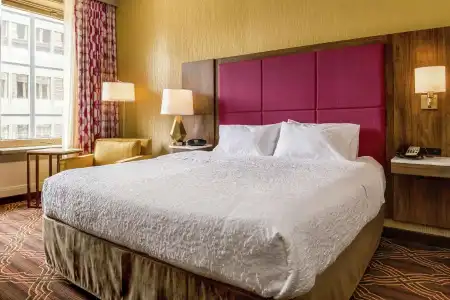 Hampton Inn Majestic Chicago Theatre District - 65