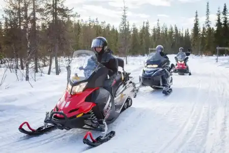 Ranua Resort Arctic Igloos - 45