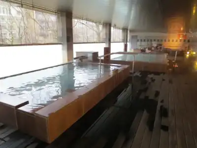 Ooedo Onsen Monogatari Premium Kinugawa Kanko - 10