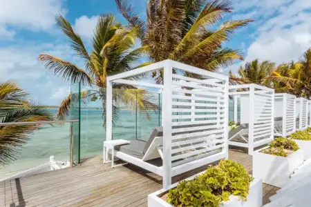 Tropical Attitude - Adults only - 41