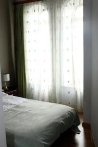 Golden Apricot - 12