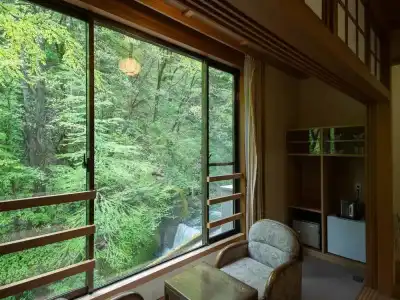 Shirahone Onsen Tsuruya Ryokan - 81