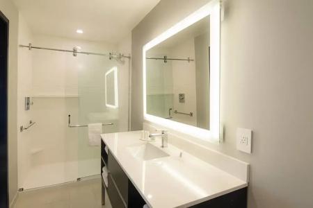 SpringHill Suites by Marriott Fort Worth Fossil Creek - 64