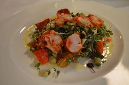 Galena Mas Comangau - 11