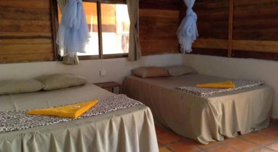 Mien Mien Guest House - 3